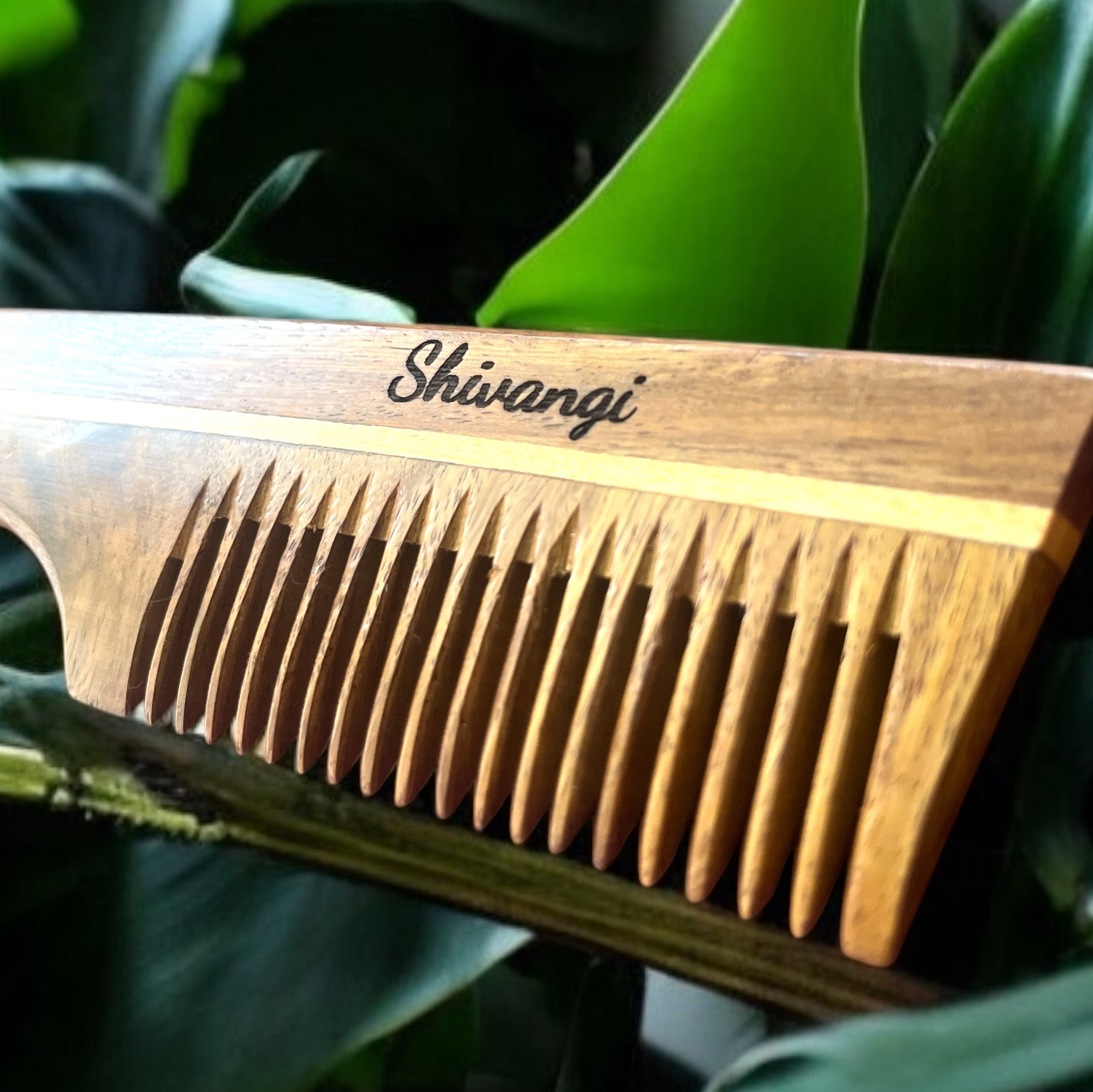 Sheesham comb (Pack of 2) Handle & Plain